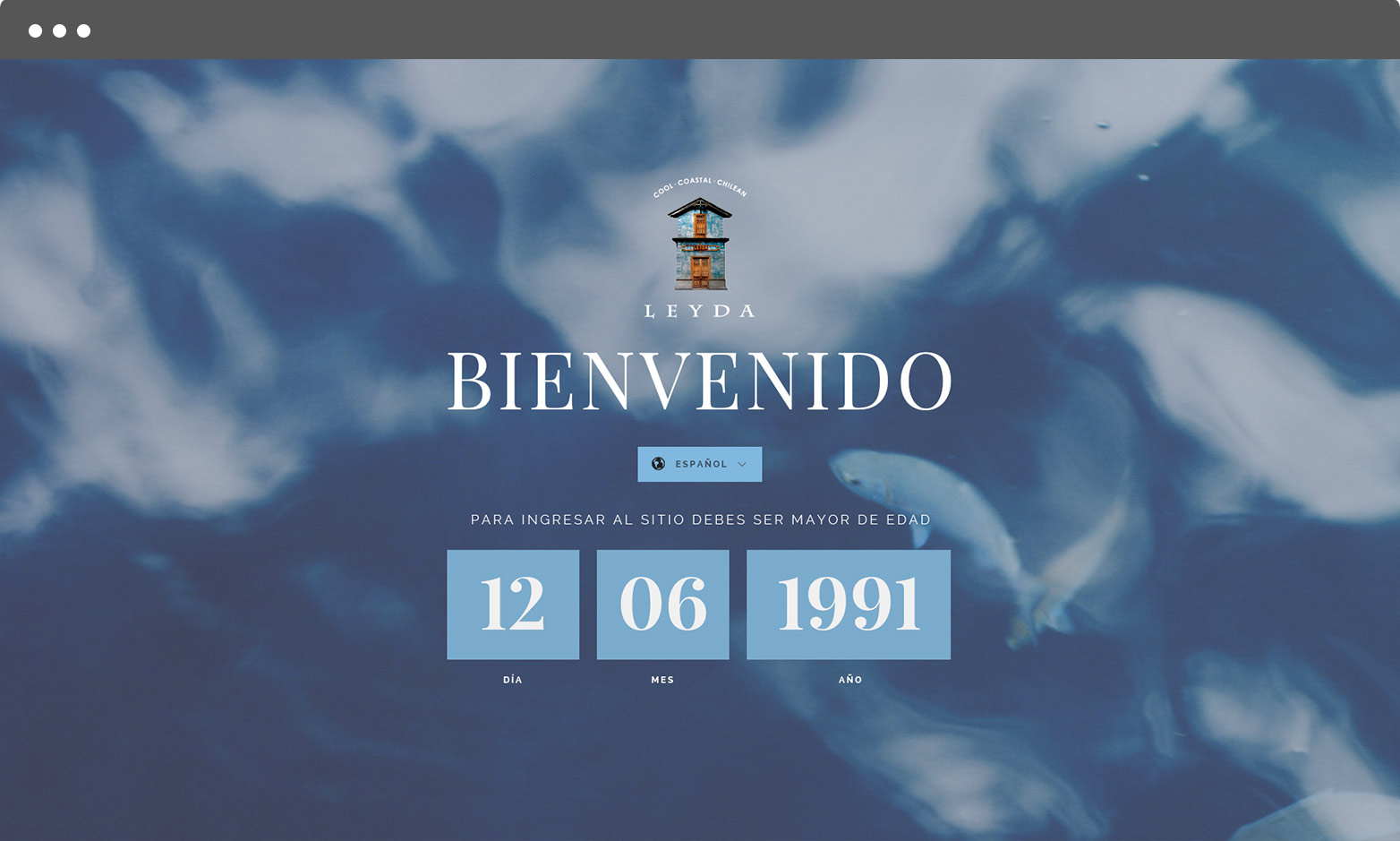 leyda web inicio
