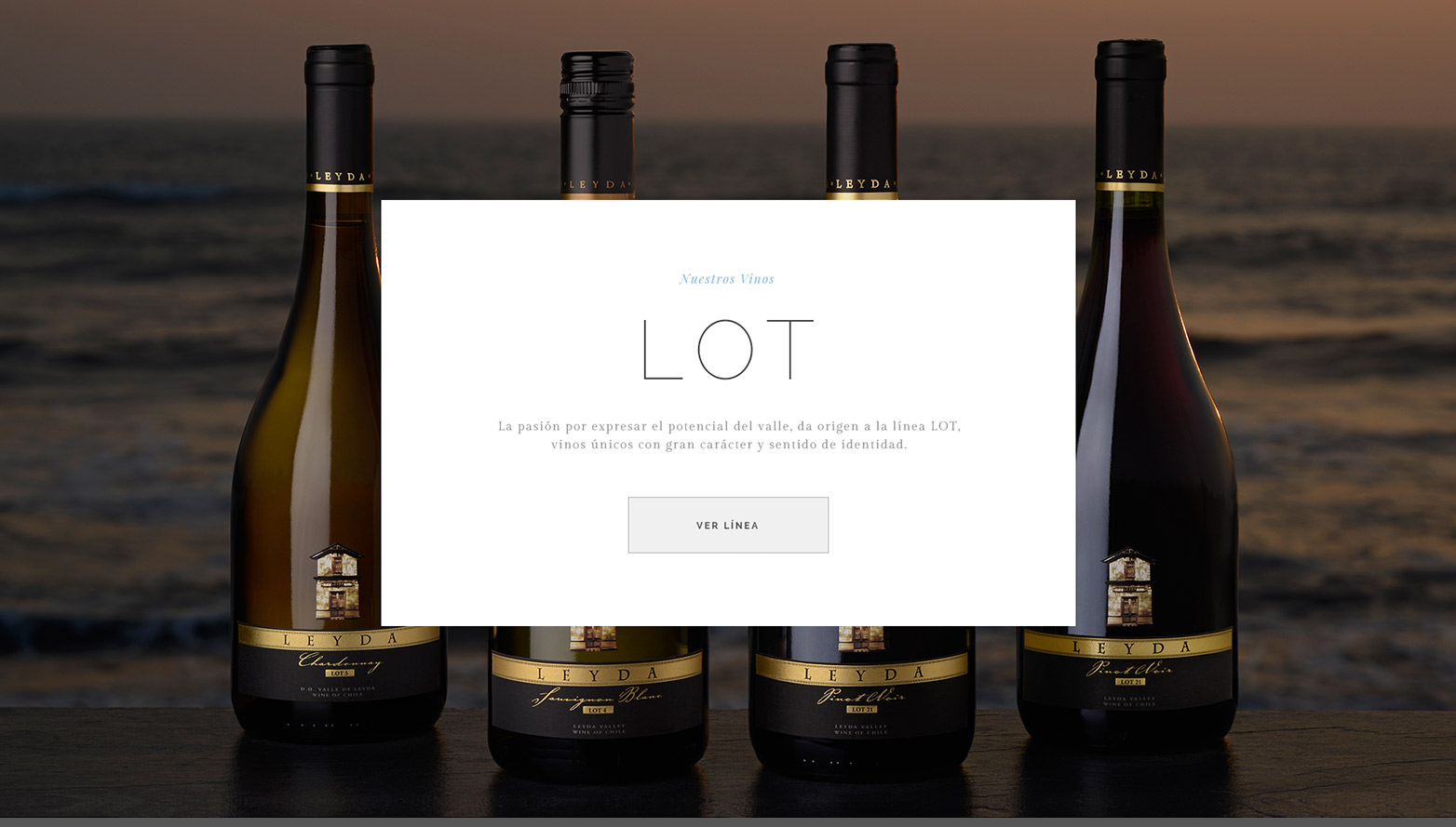 leyda web vinos
